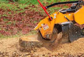Best Emergency Tree Removal  in Bull Run, VA