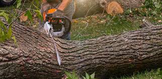 Best Lawn Mowing  in Bull Run, VA