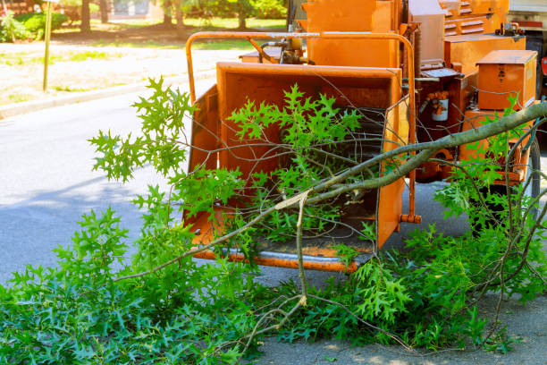 Best Lawn Watering Services  in Bull Run, VA