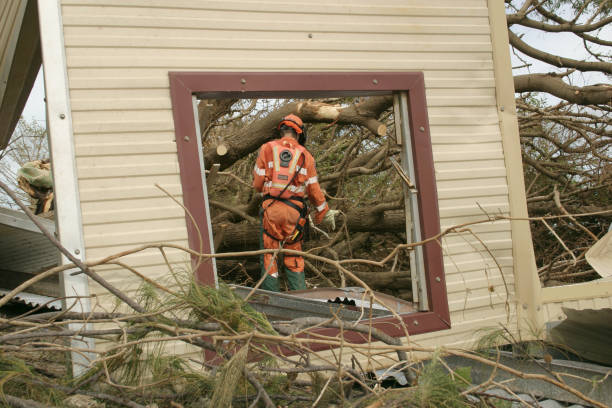 Best Hazardous Tree Removal  in Bull Run, VA