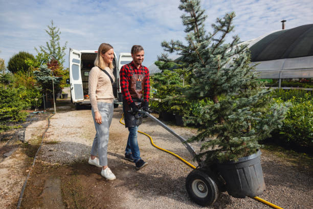 Bull Run, VA Tree Services Company
